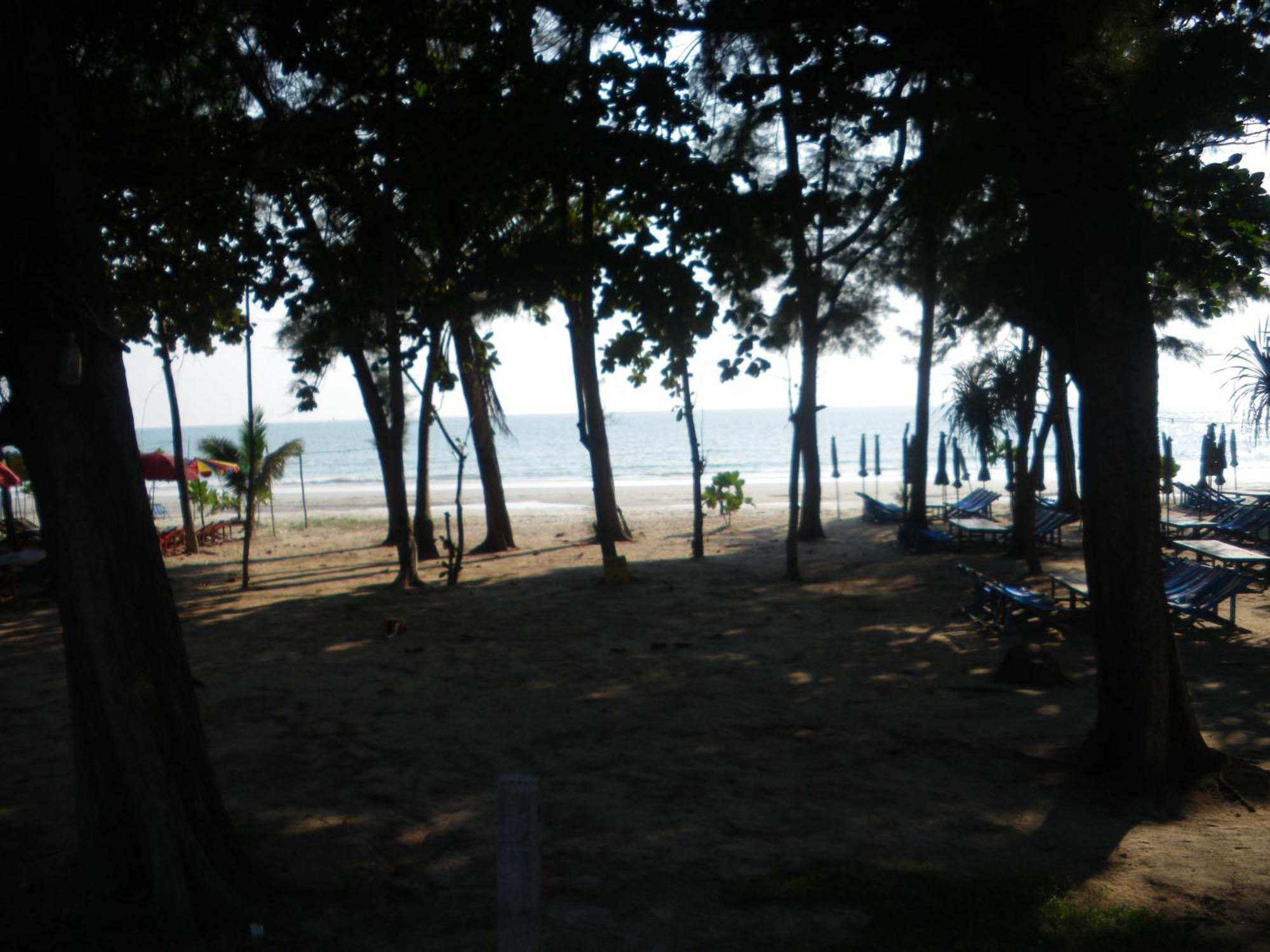 Beachfront Cozy *